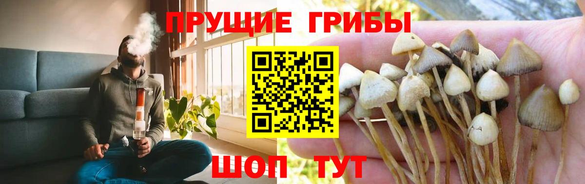 Красноуфимск  Галлюциногенные грибы MAGIC MUSHROOMS  где можно купить   Вход с VPN 